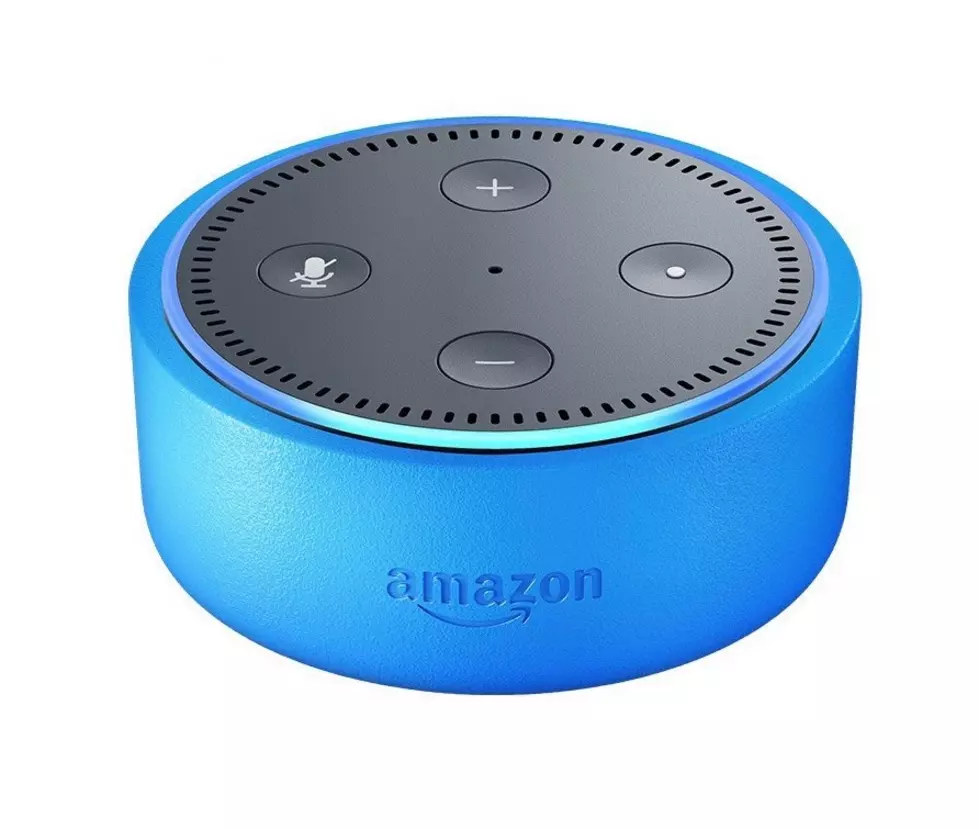 Amazon’s Echo Dot Alexa Programmed to Raise Your Kids For You