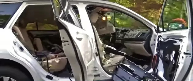 Bear Freaks Out and Trashes Interior of Connecticut Woman&#8217;s Car