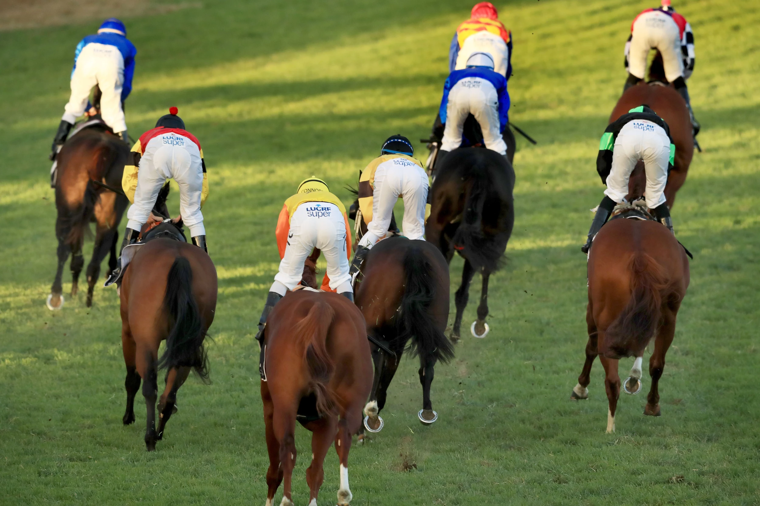 Horse Named Bofa Deez Nuts Wins Race In Oklahoma