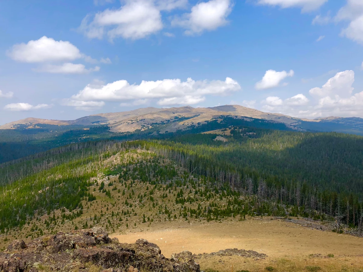 Buffalo Wyoming What I Did On My Summer Vacation