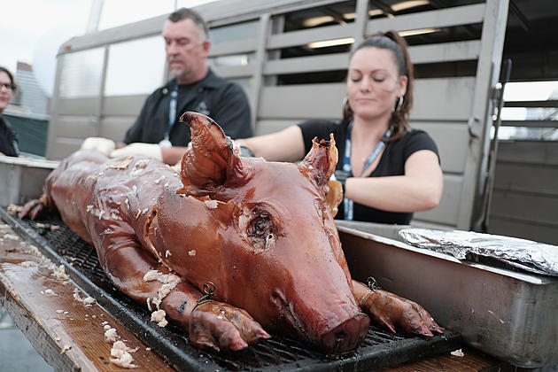 Roasted Pig Found in Luggage at Atlanta Airport