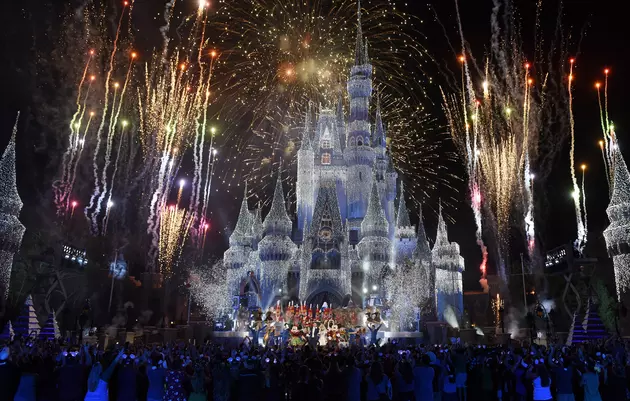 New York Dude Sues Disney World For Ruining Marriage Proposal