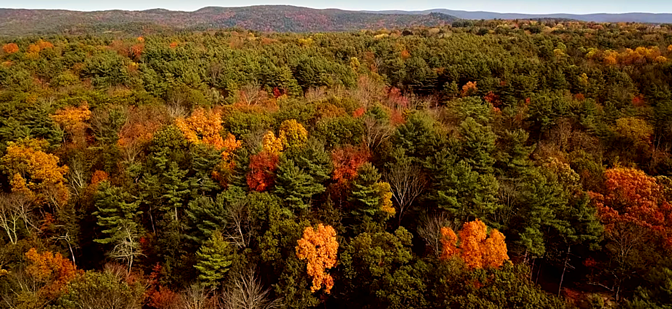 Fairfield County's Stunning Fall Foliage Tour [MAP]