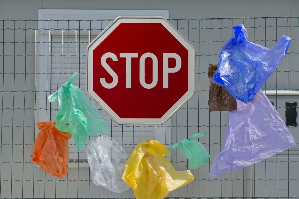 Popular Supermarket To Ban Plastic Bags Across Connecticut