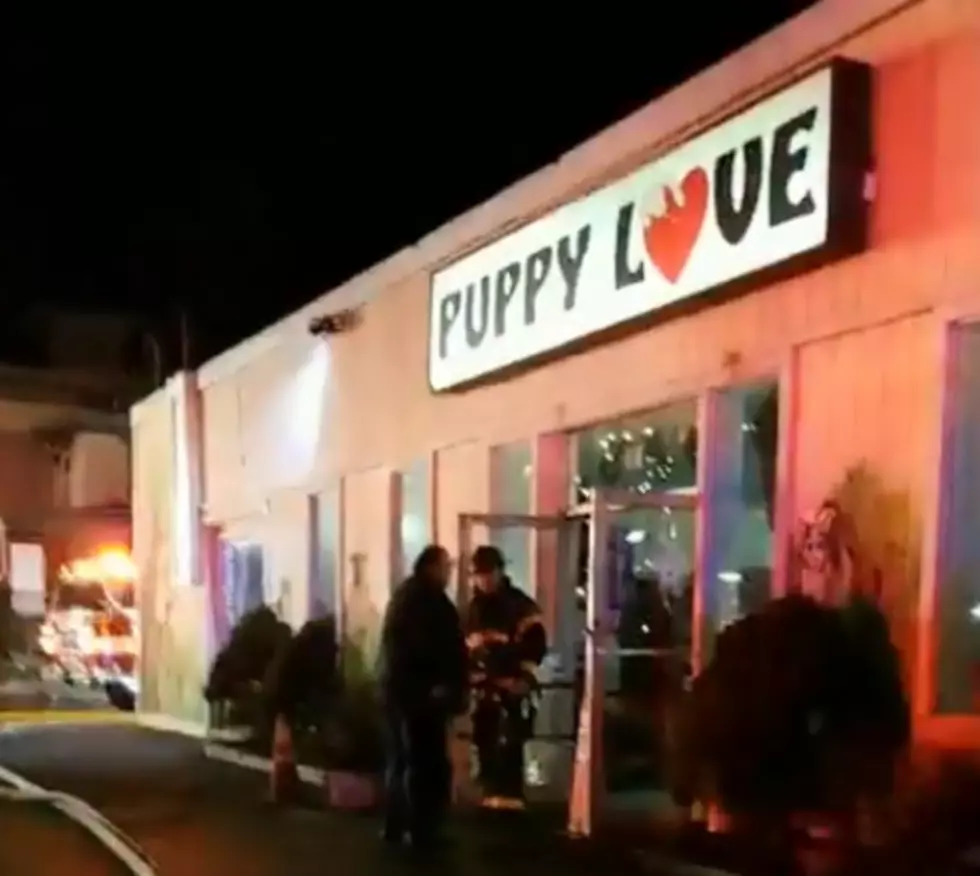 Danbury’s Puppy Love Fire To be Featured On ABC-TV This Weekend