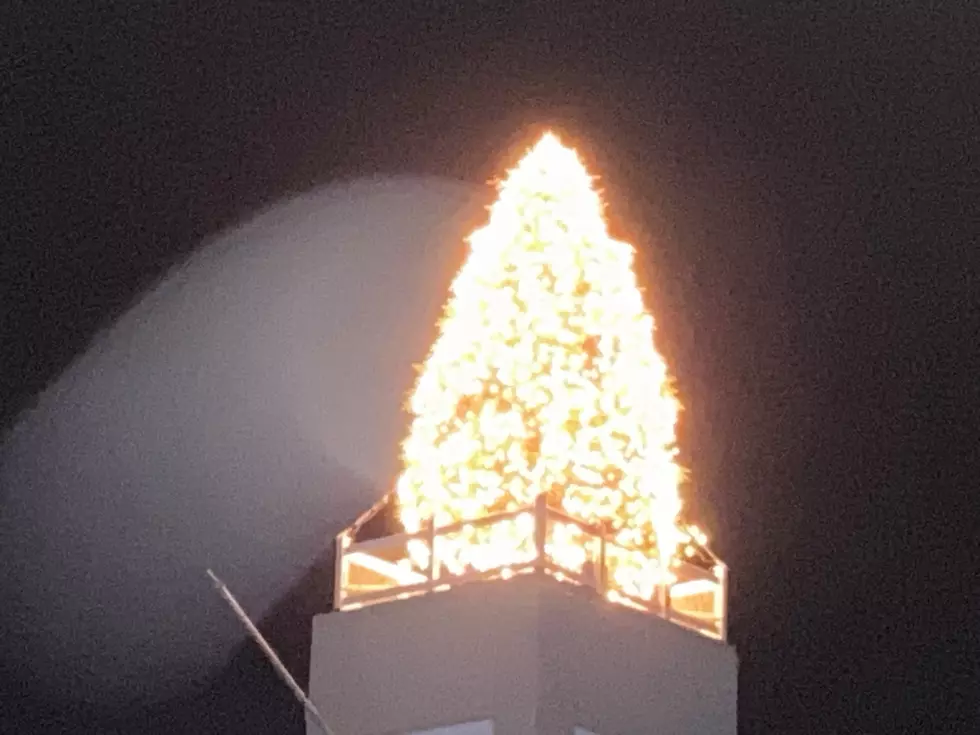 The Work That Goes Into the Rooftop Christmas Tree in Danbury Must Be Incredible