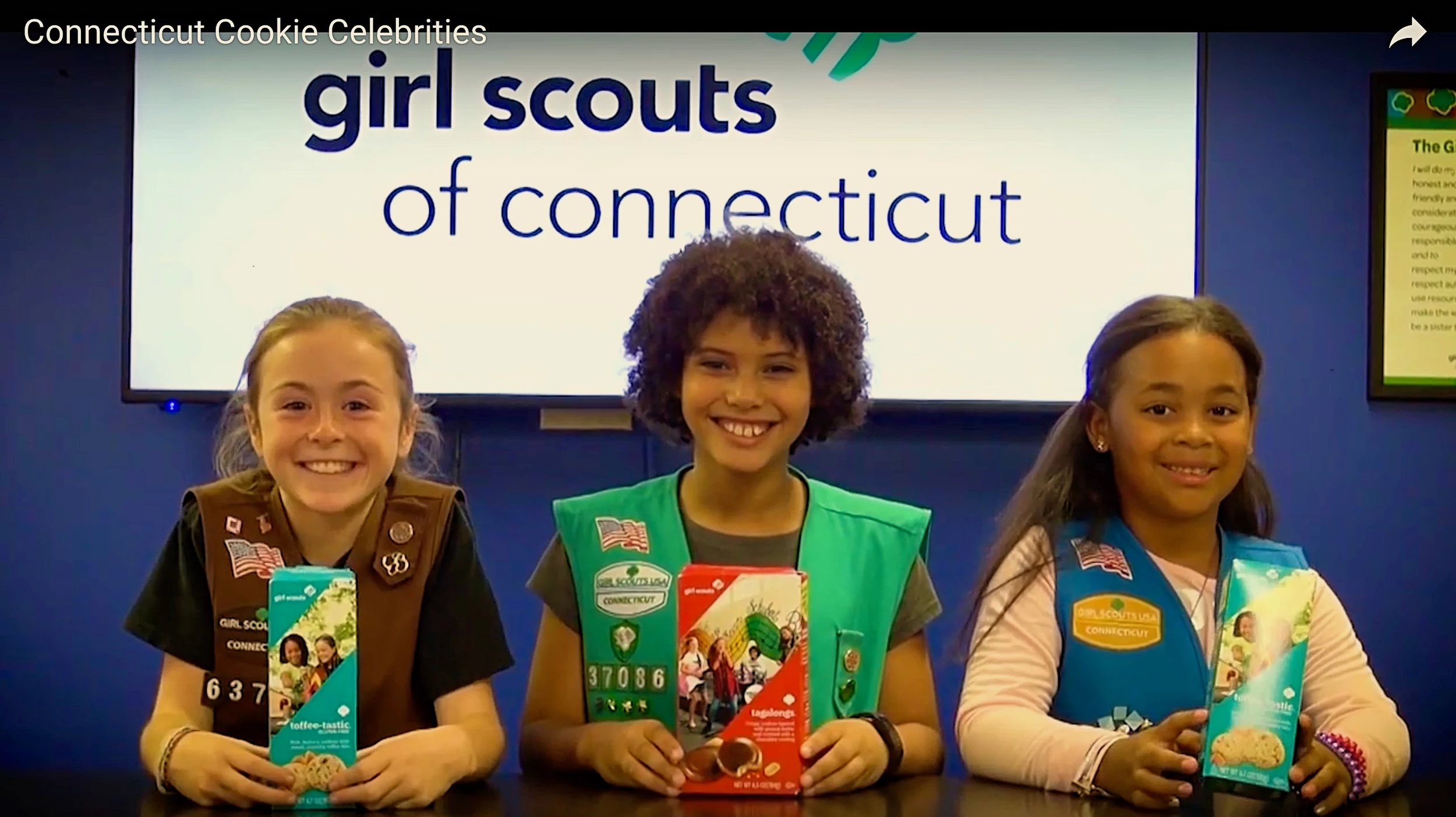 Celebs against girl scouts