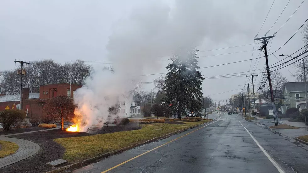 Downed Power Line Causes Traffic Delays + Power Outage in Danbury