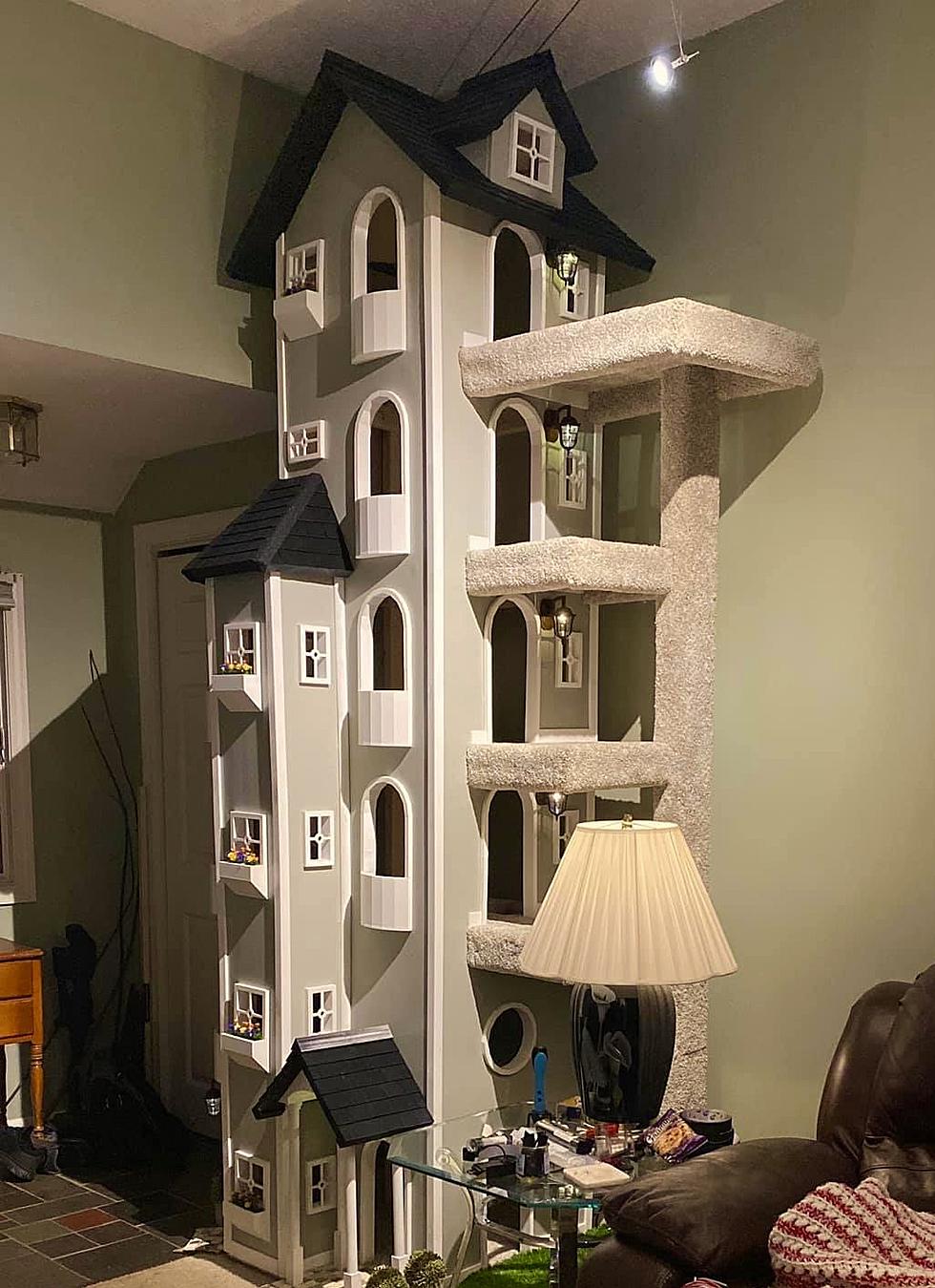 Towering Kitty Condos Made in Connecticut Could Become the Next Cat&#8217;s Meow