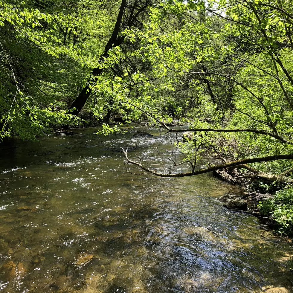 A Quaint Old Dirt Road in New Milford That Has Everything: Photo Gallery