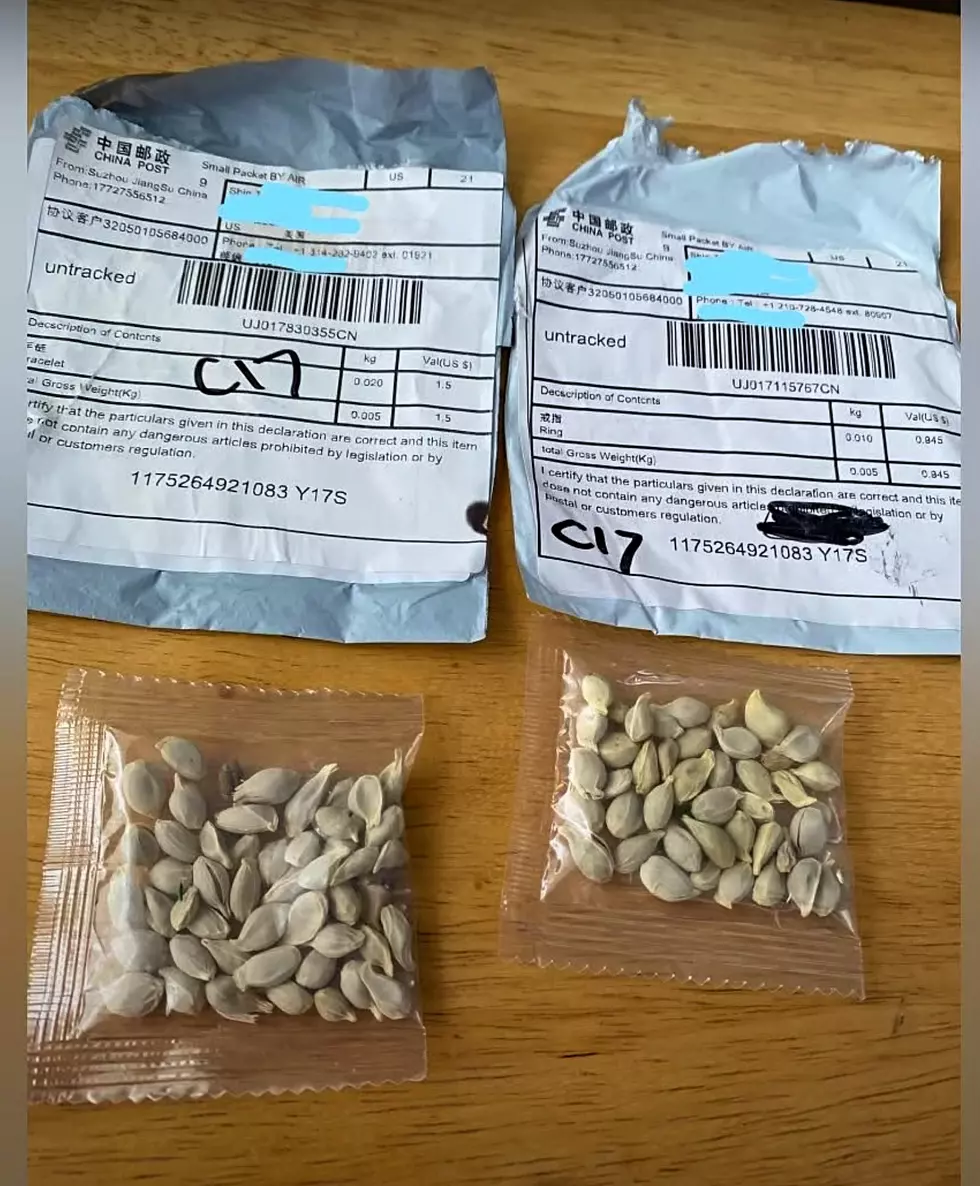 CT Officials Warn Residents Against Opening Unsolicited Packages of Seeds