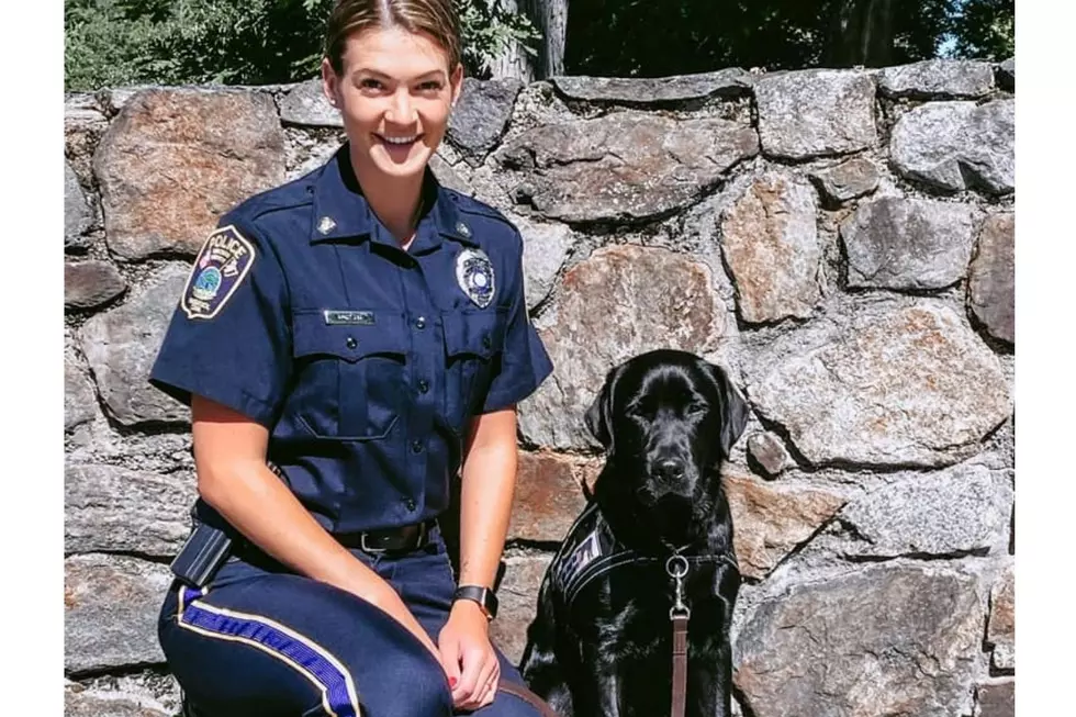 Naugatuck Police Department Gets a New Doggy Officer