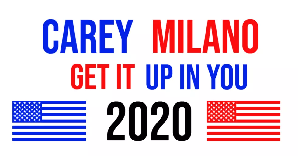 Carey/Milano For Presidents 2020