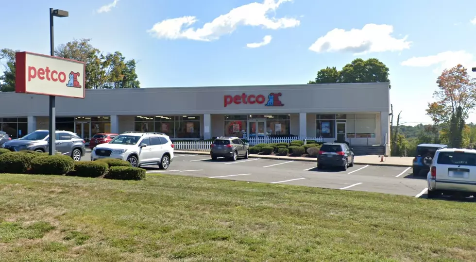 Remote Control Dog Shock Collars Pulled From All Petco Locations