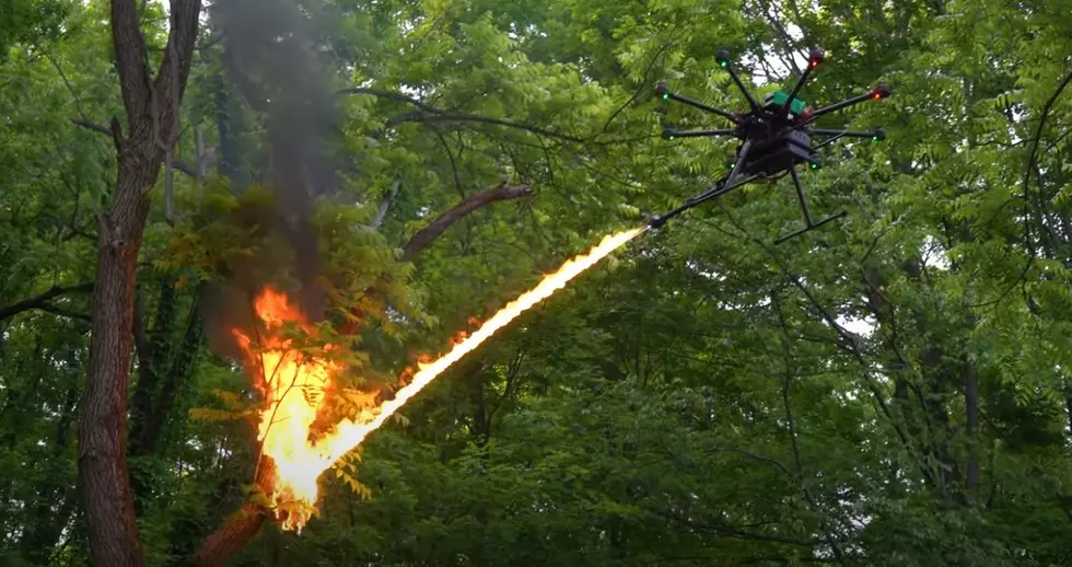 China is Using Drones With Flamethrowers to Burn Wasp Nests