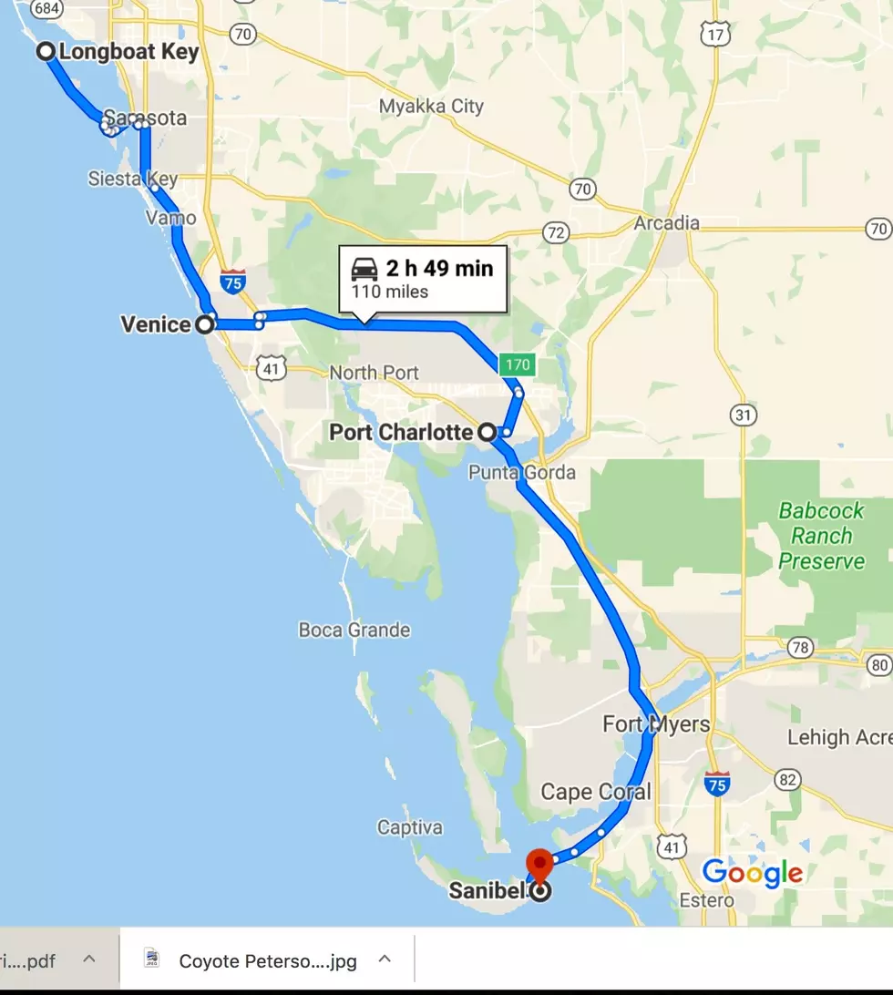 Google Maps