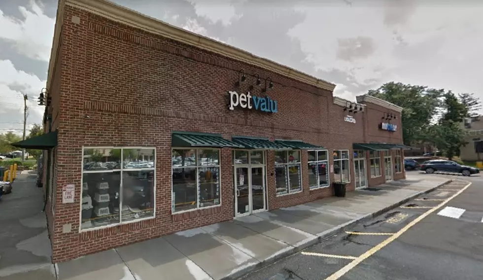 New Locally-Owned Pet Store Opening in Ridgefield