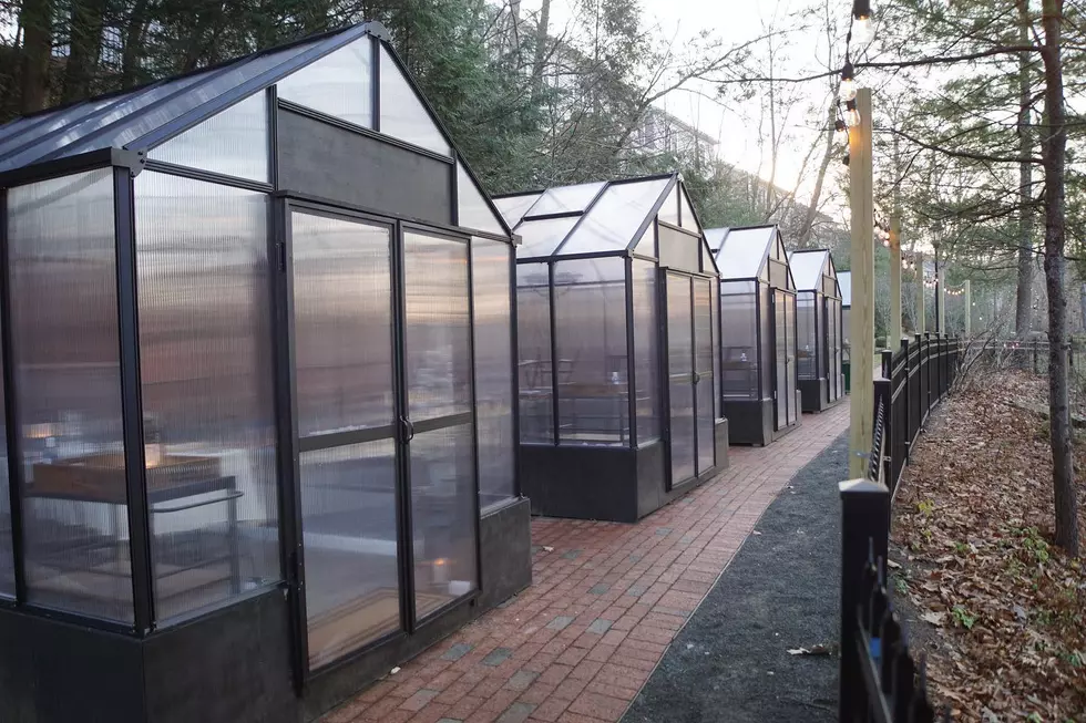 Millwright's Restaurant Greenhouse - Courtesy of Millwright's FB Page..
