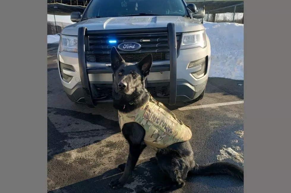 Local Donations Fund Connecticut State Police K9 Body Armor