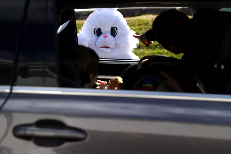 Brookfield Residents Can Get a Police-Escorted Bunny Visit For Easter