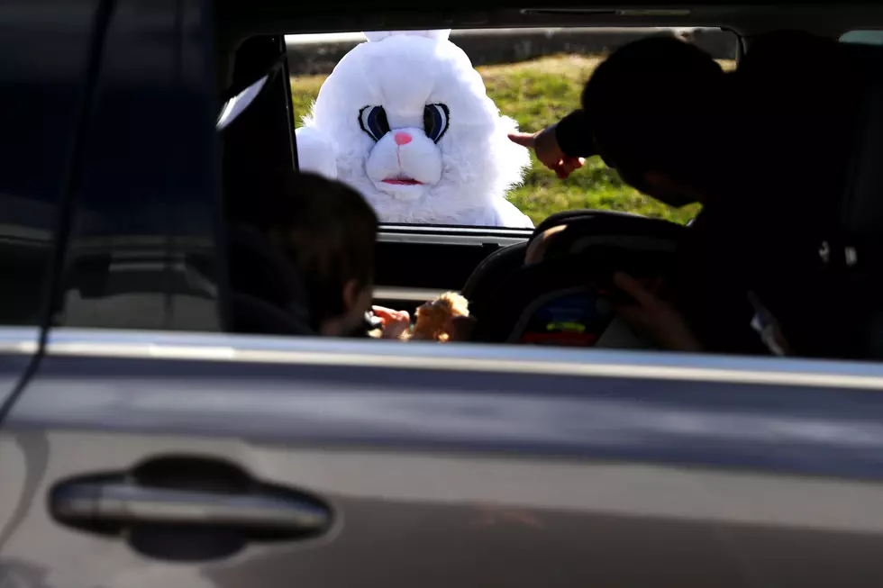 CityCenter Danbury Plans Easter Bunny Drive-Thru Event