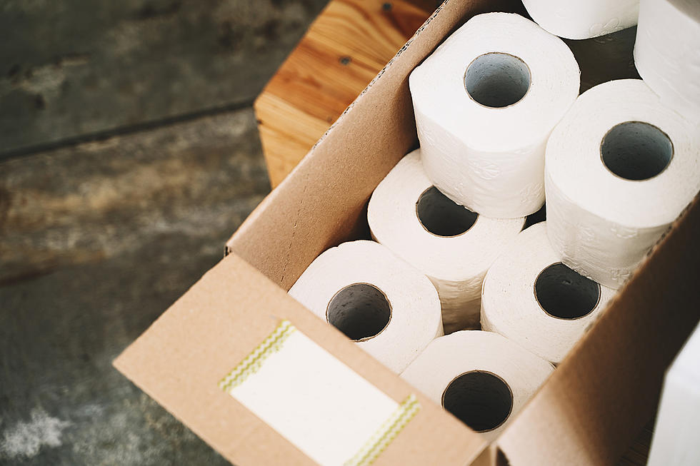 Another Toilet Paper Shortage Could Be Looming Due To Cargo Ship Blocking Suez Canal