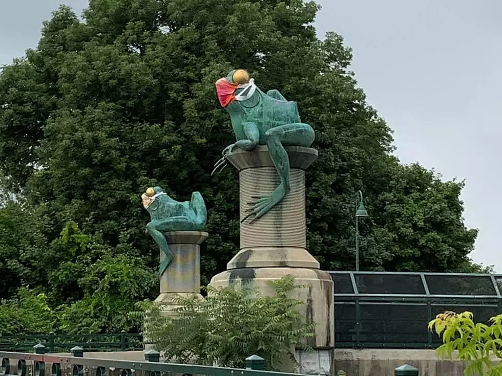 Did You Know This Connecticut Town Survived a Terrifying Bullfrog Attack?