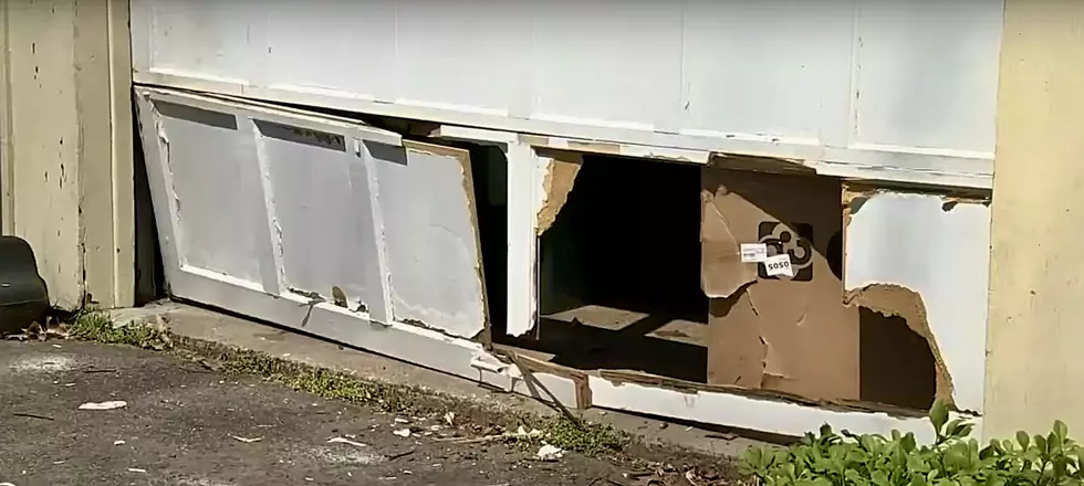 Black Bear Rips Open Garage Door of Connecticut House