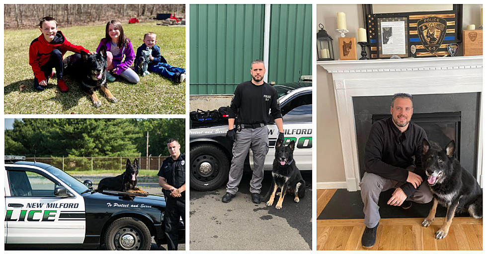 Recently Retired New Milford K9 Kira Has Passed Away