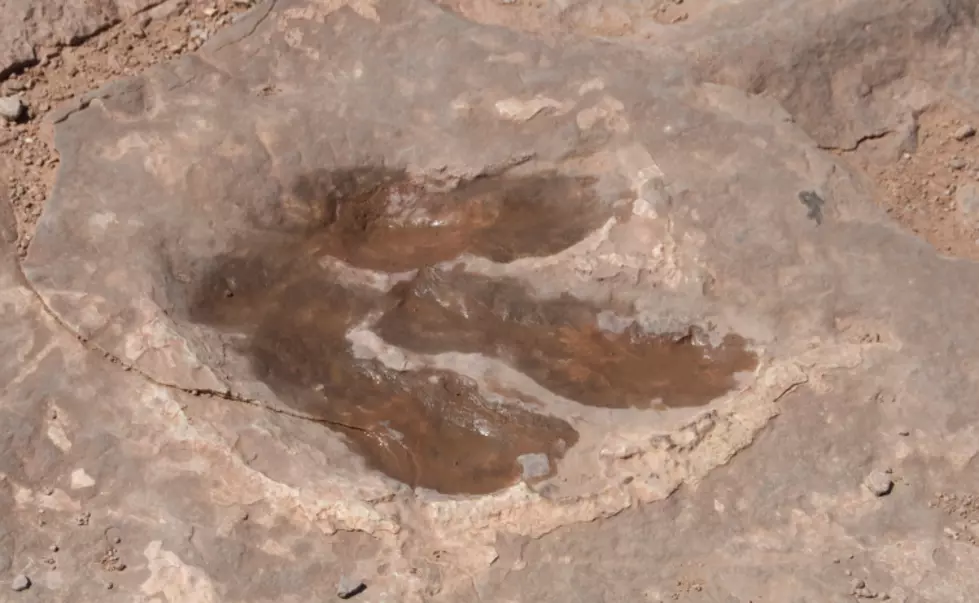 Rocky Hill is Site to One of the Most Significant Dinosaur Fossil Finds in U.S. History