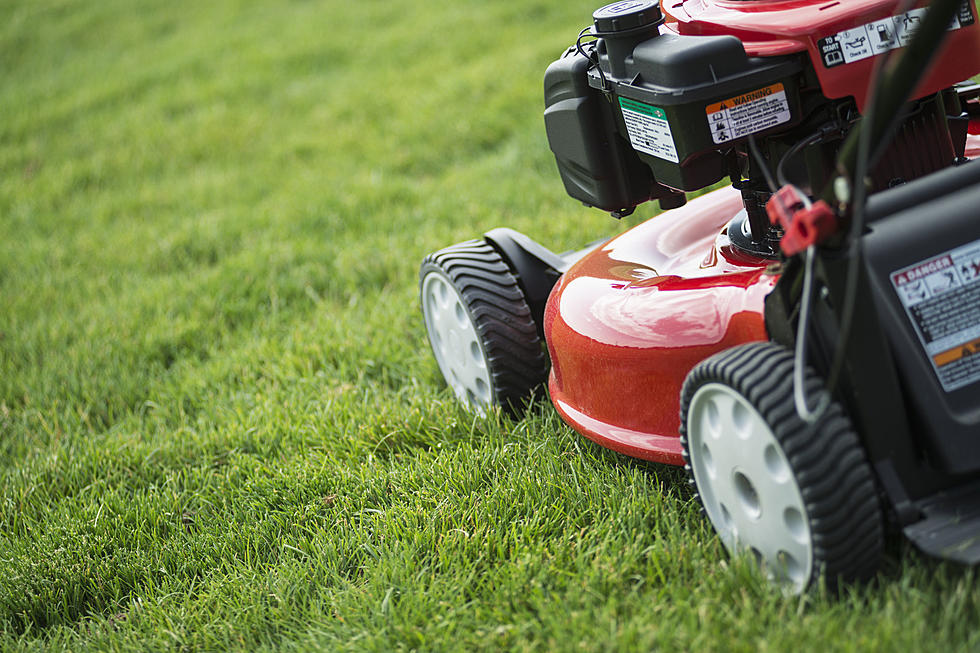 Couple&#8217;s &#8216;Intimacy&#8217; Interrupted by the Homeowner Mowing His Own Lawn