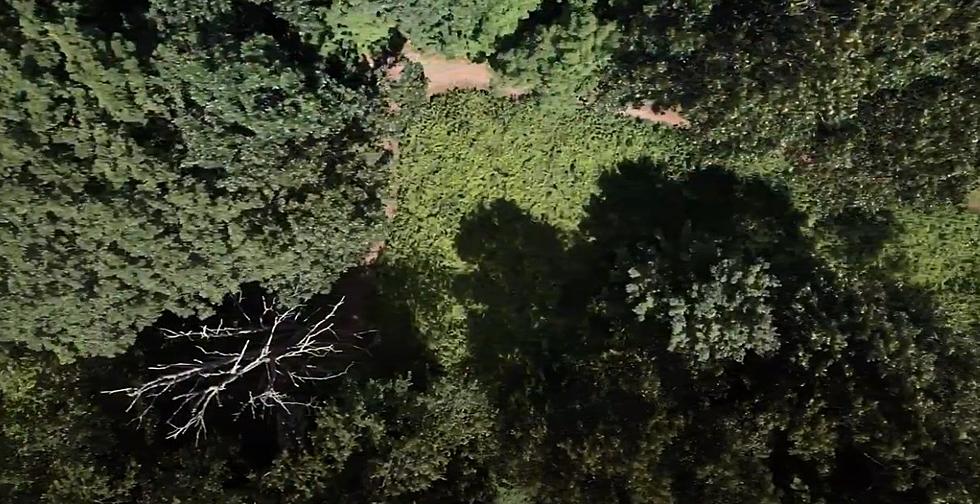 Stunning Drone Views of Protected Bethel Land Known as Franc Preserve