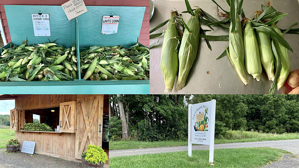 Local Connecticut Farm Stands That Offer the Best Corn-On-The-Cob