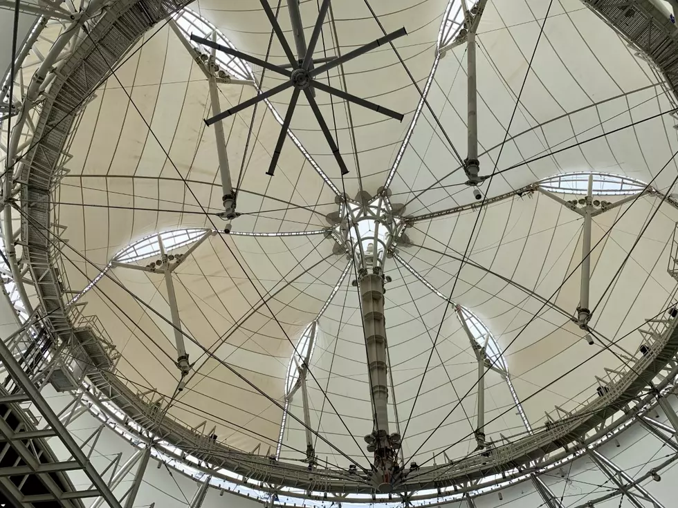 Photo by Large "The roof...the roof.." Dave