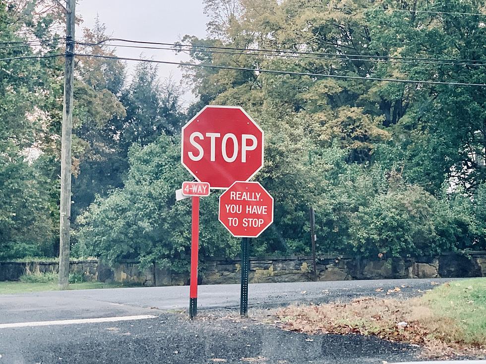 Would Connecticut Be Safer If Roxbury&#8217;s Brilliant Sarcasm Spread?