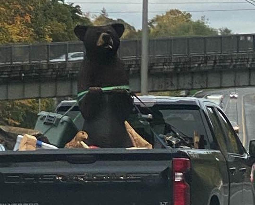 Traffic Was a Bear on I-84 in Danbury Wednesday