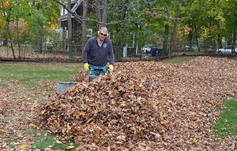 What Do I Do With My Leaves in Danbury? The City Will Take Them, Here&#8217;s What You Need to Know