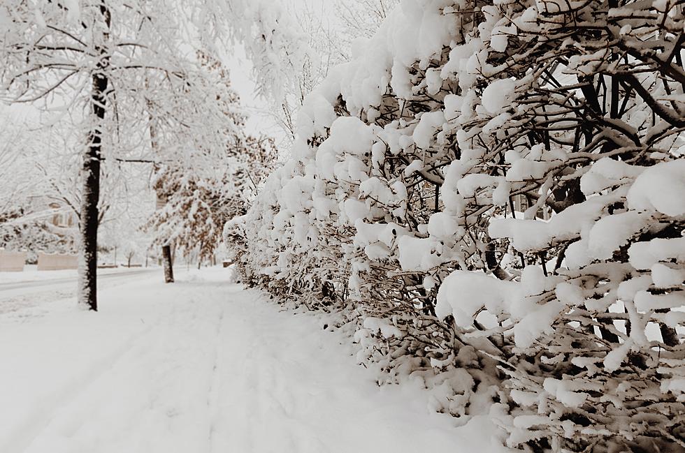 Possible Nor’Easter With Wind and Snow Heading Toward Greater Danbury