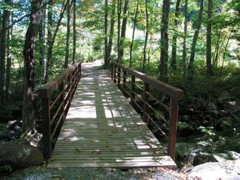 Greater Danbury Outdoor Activity Spots For Family Fun