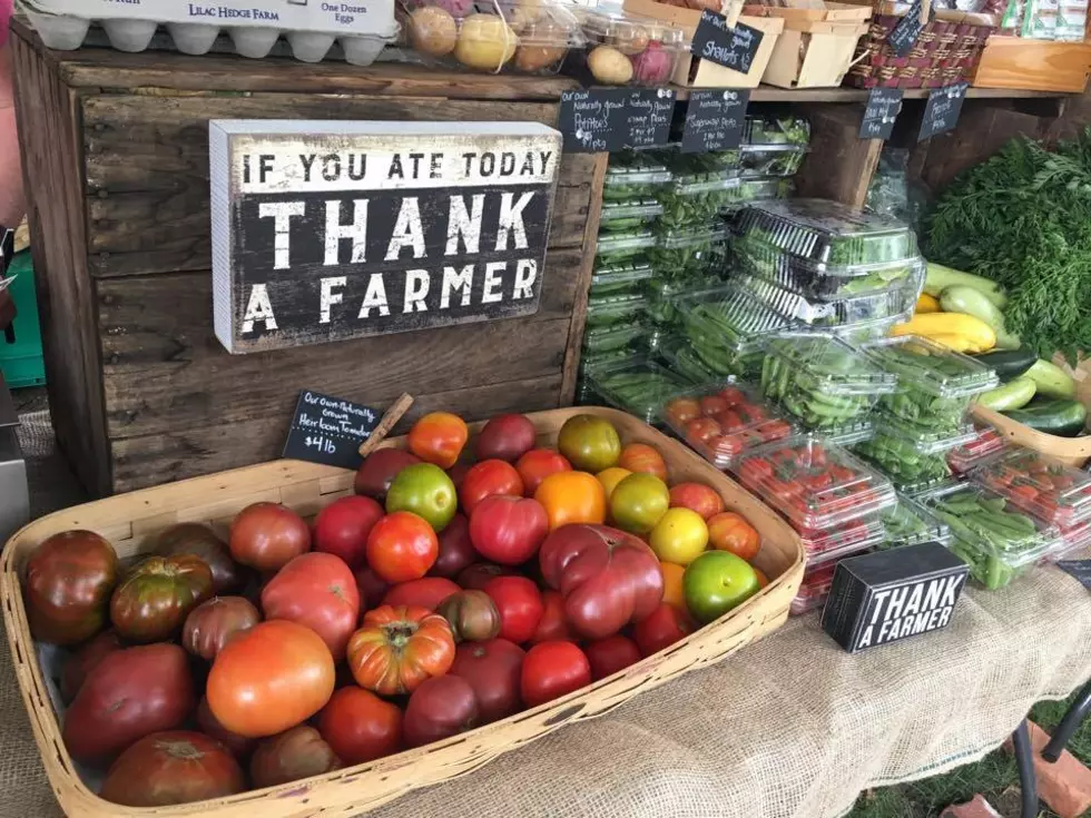 Your Guide to Greater Danbury Farmers Markets for 2022