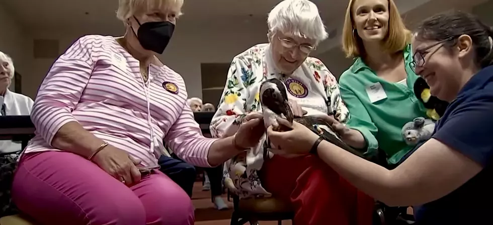 104-Year-Old Connecticut Woman’s Penguin Wish Comes True