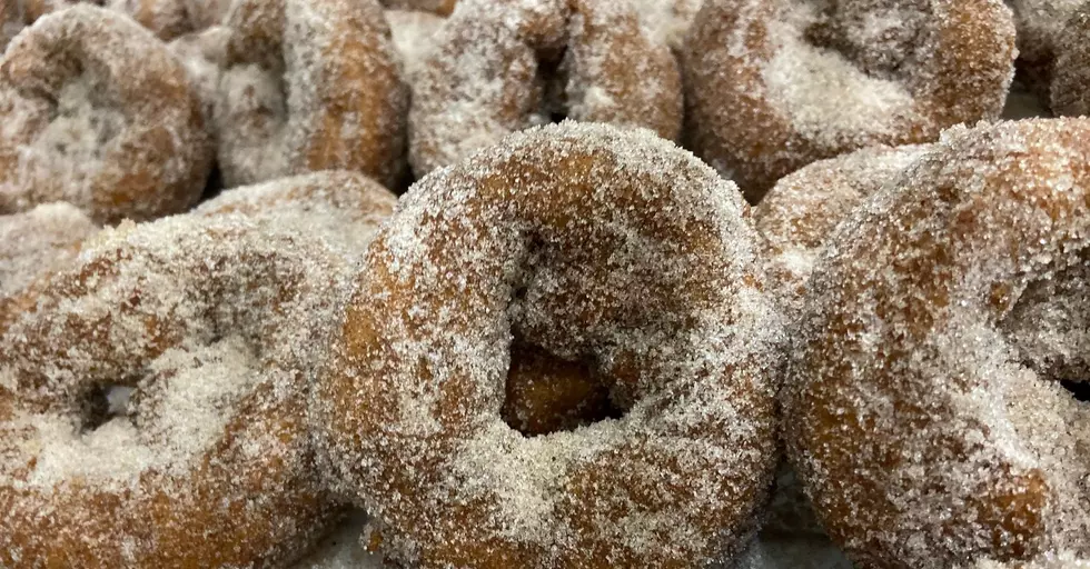 9 Connecticut Locations to Find the Best Mouth Watering Apple Cider Donuts
