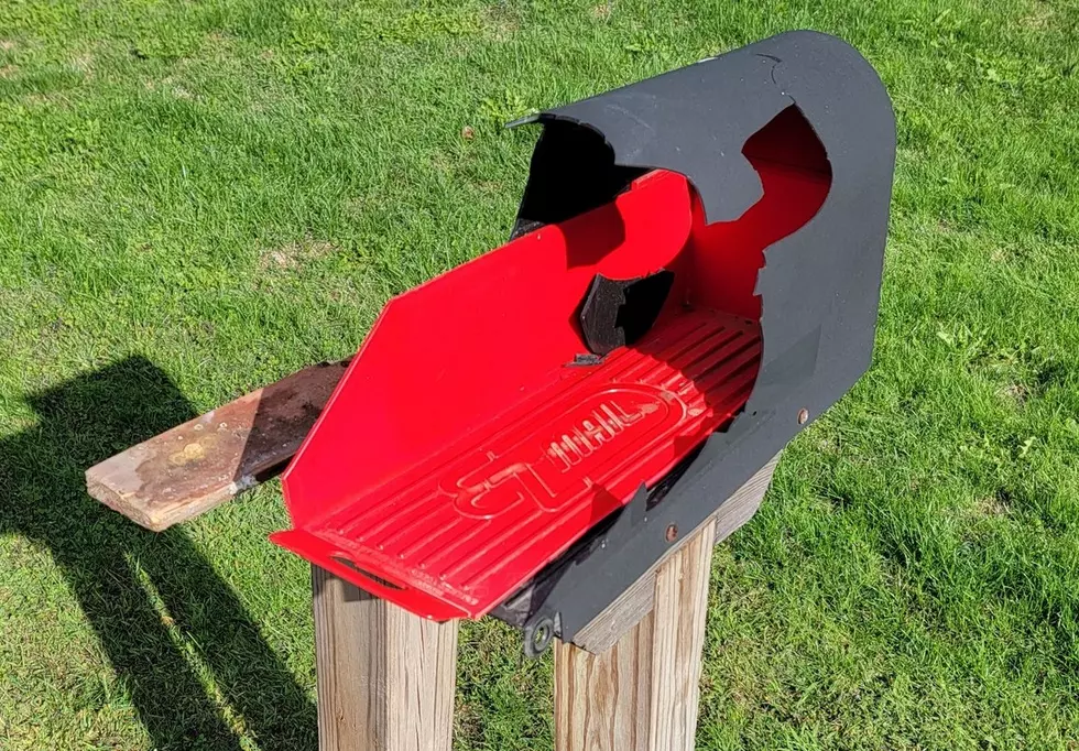 Brewster Neighborhood Terrorized by Mailbox Baseball Game