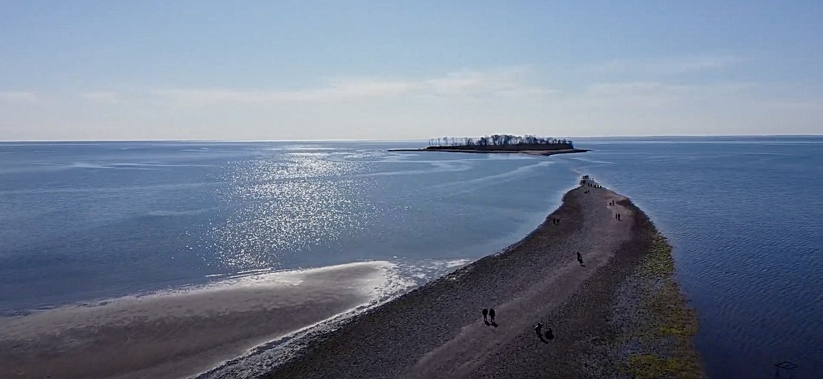 This is Why Silver Sands is the Most Beautiful Beach in CT this-is-why-silver-sands-is-the-most-beautiful-beach-in-ct
