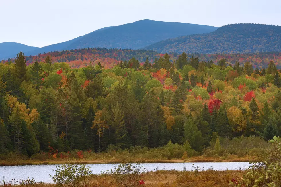 Brookfield First Selectman Aims to Protect Open Space, Calling the Town Lean on Green