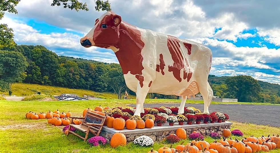 Brand New Homemade Ice Cream Shoppe Awaits at New Milford’s Kimberly Farm