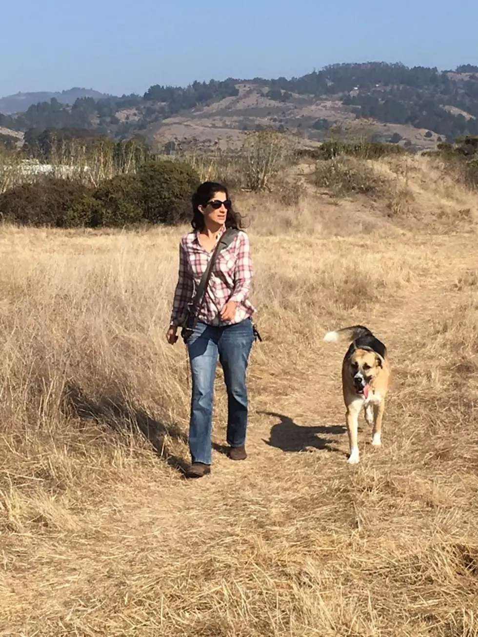 Jen Kotkin