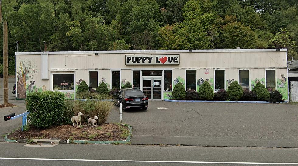 Beloved Danbury Puppy Store Announces Permanent Closure