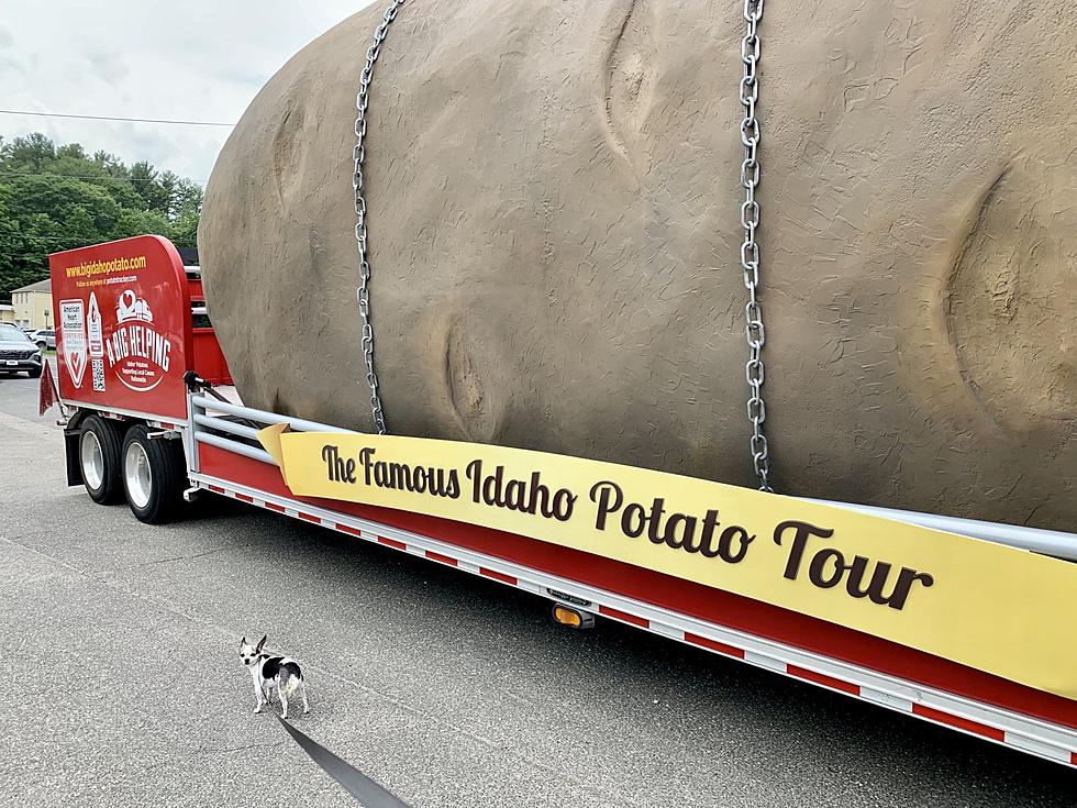 A Twenty-Eight Foot Spud From Idaho Landed in Torrington Today