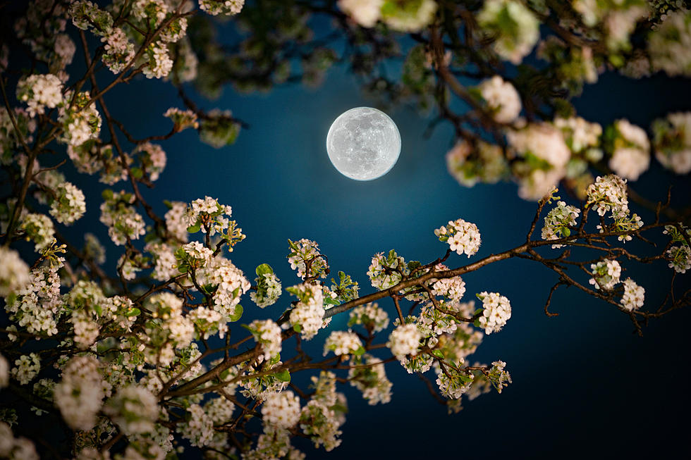 New Milford Photographer Captures Awe Inspiring Photos in All Seasons